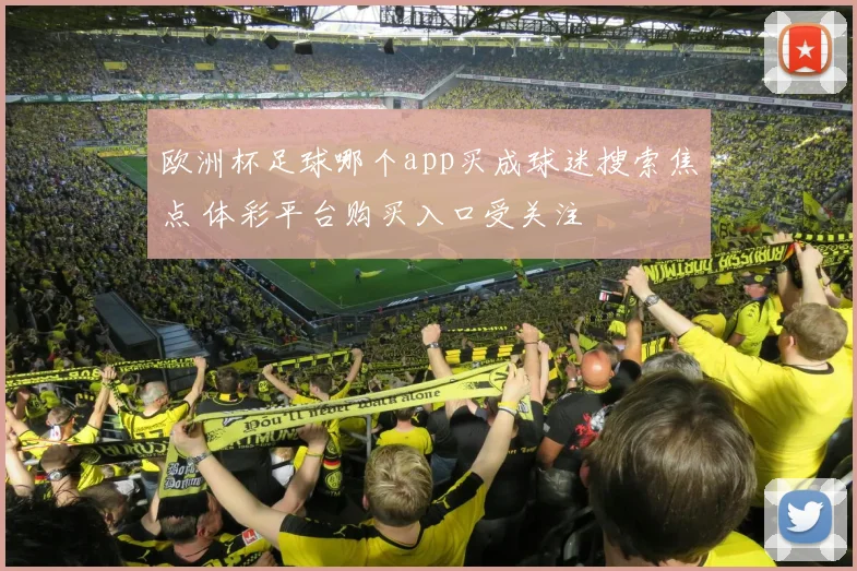 欧洲杯足球哪个app买成球迷搜索焦点 体彩平台购买入口受关注