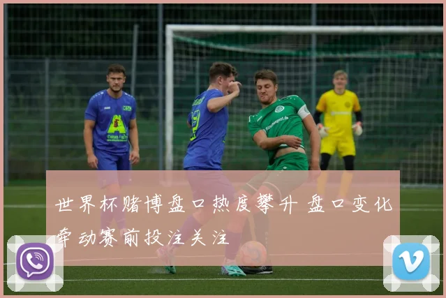 世界杯赌博盘口热度攀升 盘口变化牵动赛前投注关注