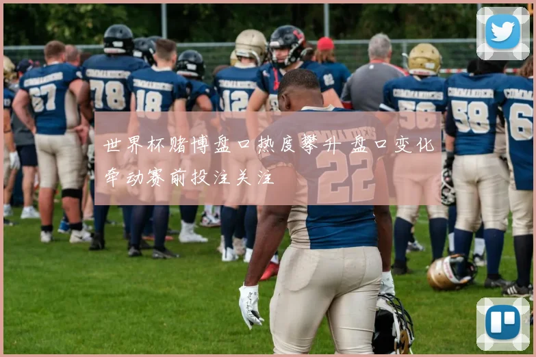 世界杯赌博盘口热度攀升 盘口变化牵动赛前投注关注