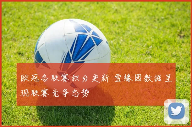 欧冠各联赛积分更新 雪缘园数据呈现联赛竞争态势