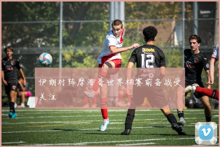 伊朗对阵摩洛哥世界杯赛前备战受关注