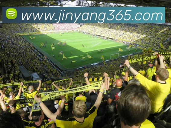 kaiyun官方平台全站App